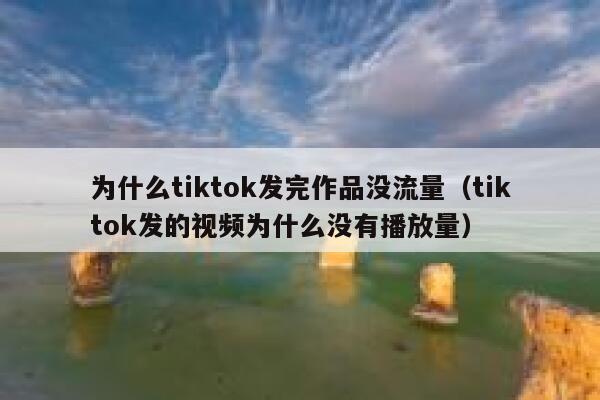 为什么tiktok发完作品没流量（tiktok发的视频为什么没有播放量） 第1张