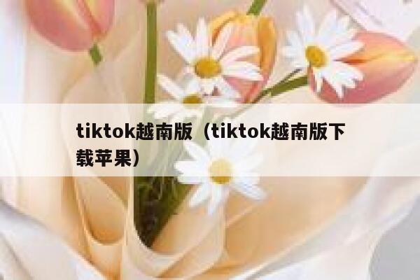 tiktok越南版(tiktok越南版下载苹果) 第1张 tiktok越南版(tiktok越南版下载苹果) 第1张