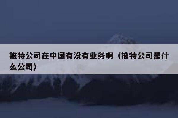 推特公司在中国有没有业务啊（推特公司是什么公司） 第1张