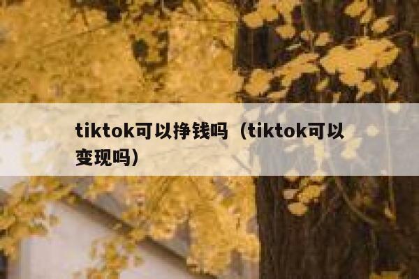 tiktok可以挣钱吗(tiktok可以变现吗) 第1张 tiktok可以挣钱吗(tiktok可以变现吗) 第1张