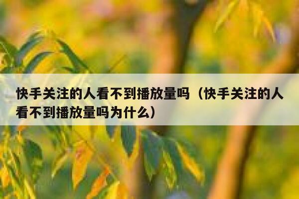 快手关注的人看不到播放量吗（快手关注的人看不到播放量吗为什么） 第1张