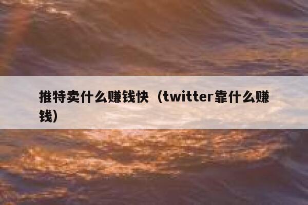 推特卖什么赚钱快(twitter靠什么赚钱) 第1张 推特卖什么赚钱快(twitter靠什么赚钱) 第1张