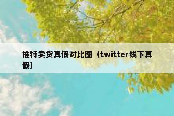 推特卖货真假对比图(twitter线下真假) 第1张 推特卖货真假对比图(twitter线下真假) 第1张
