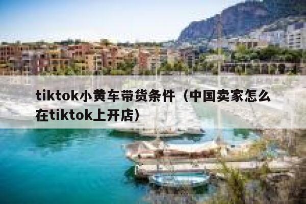 tiktok小黄车带货条件(中国卖家怎么在tiktok上开店) 第1张 tiktok小黄车带货条件(中国卖家怎么在tiktok上开店) 第1张