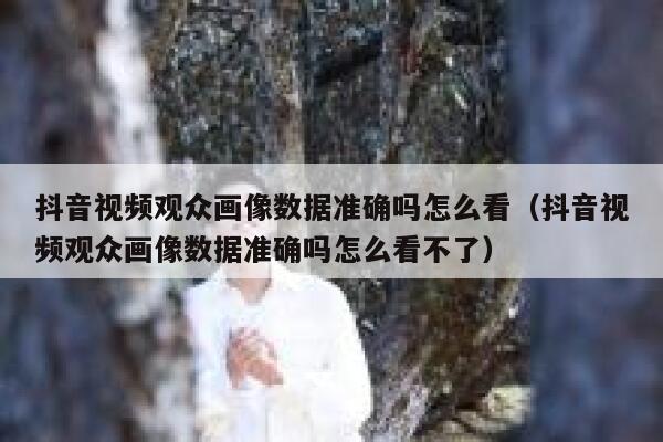 抖音视频观众画像数据准确吗怎么看(抖音视频观众画像数据准确吗怎么看不了) 第1张 抖音视频观众画像数据准确吗怎么看(抖音视频观众画像数据准确吗怎么看不了) 第1张