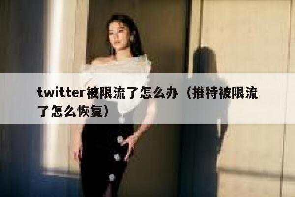 twitter被限流了怎么办（推特被限流了怎么恢复） 第1张