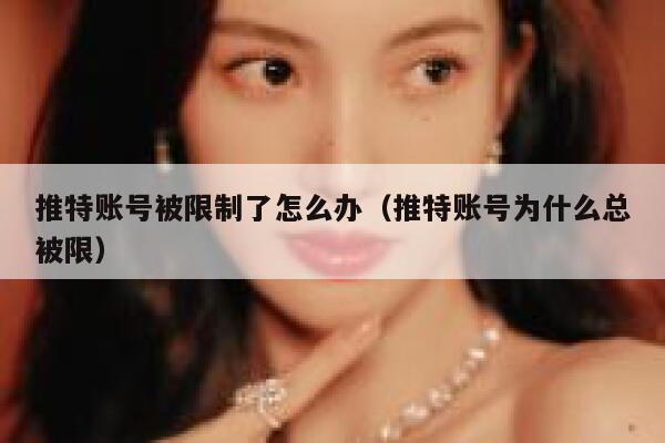 推特账号被限制了怎么办(推特账号为什么总被限) 第1张 推特账号被限制了怎么办(推特账号为什么总被限) 第1张