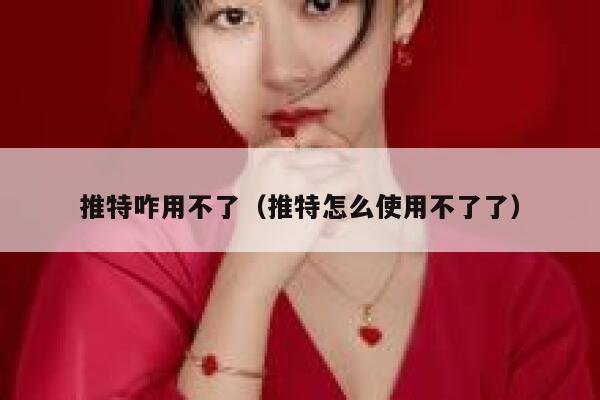 推特咋用不了（推特怎么使用不了了） 第1张