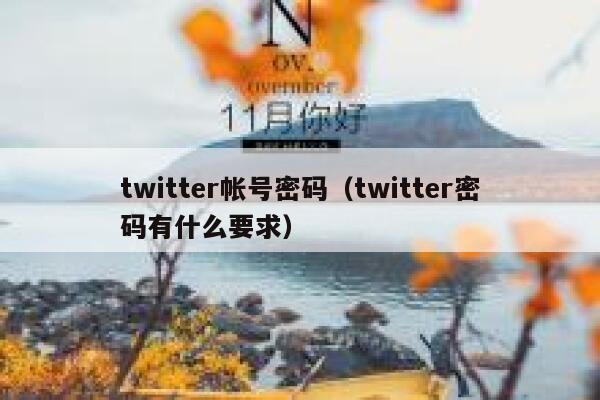 twitter帐号密码(twitter密码有什么要求) 第1张 twitter帐号密码(twitter密码有什么要求) 第1张
