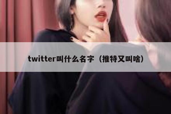 twitter叫什么名字（推特又叫啥） 第1张