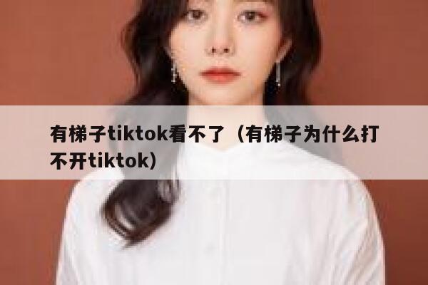 有梯子tiktok看不了（有梯子为什么打不开tiktok） 第1张