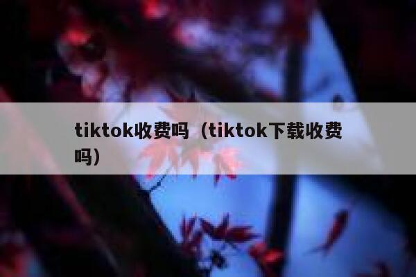 tiktok收费吗（tiktok下载收费吗） 第1张