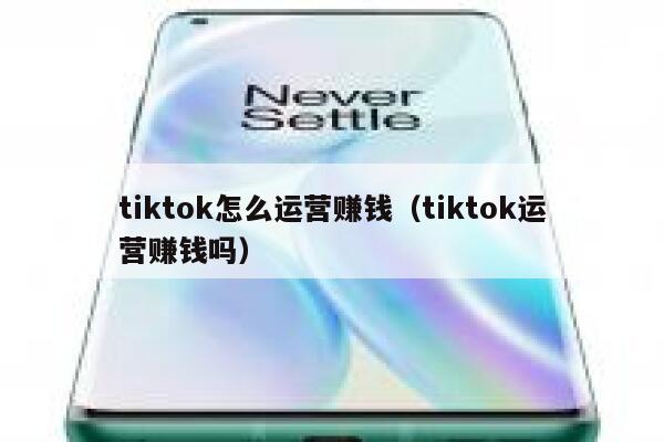 tiktok怎么运营赚钱（tiktok运营赚钱吗） 第1张