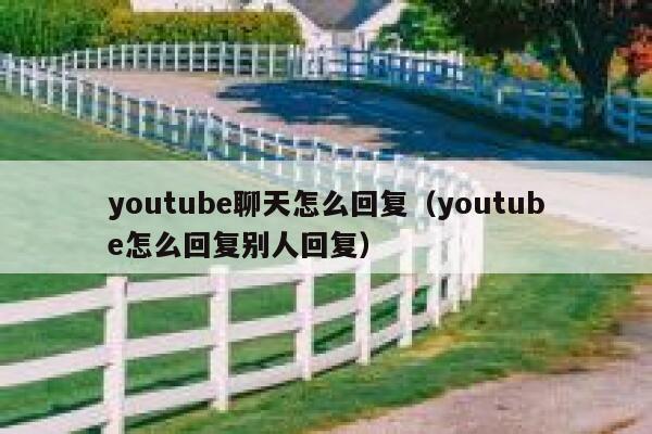 youtube聊天怎么回复（youtube怎么回复别人回复） 第1张