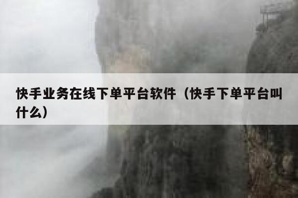 快手业务在线下单平台软件（快手下单平台叫什么） 第1张