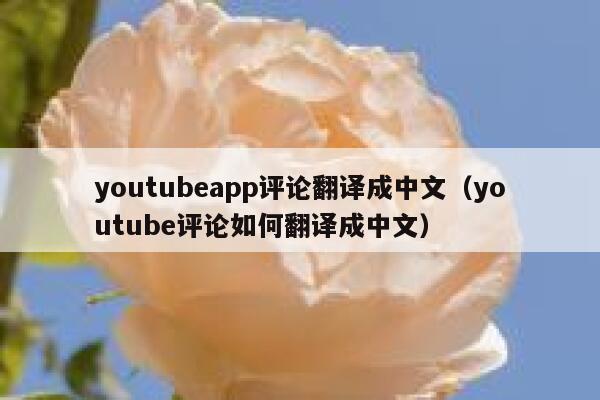 youtubeapp评论翻译成中文(youtube评论如何翻译成中文) 第1张 youtubeapp评论翻译成中文(youtube评论如何翻译成中文) 第1张