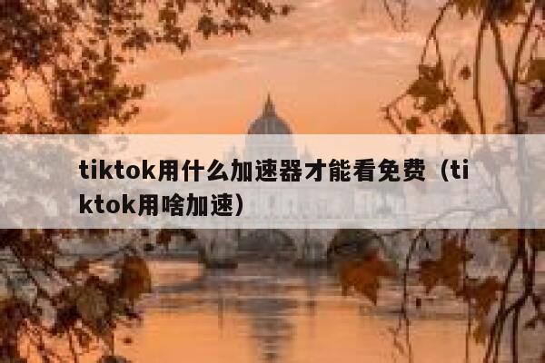 tiktok用什么加速器才能看免费(tiktok用啥加速) 第1张 tiktok用什么加速器才能看免费(tiktok用啥加速) 第1张