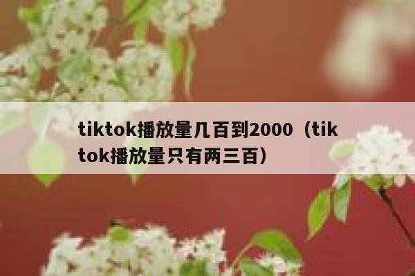 tiktok播放量几百到2000（tiktok播放量只有两三百） 第1张