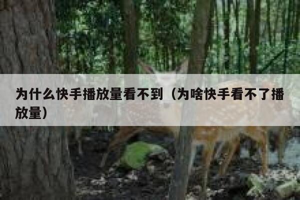 为什么快手播放量看不到(为啥快手看不了播放量) 第1张 为什么快手播放量看不到(为啥快手看不了播放量) 第1张