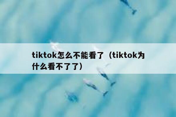 tiktok怎么不能看了(tiktok为什么看不了了) 第1张 tiktok怎么不能看了(tiktok为什么看不了了) 第1张