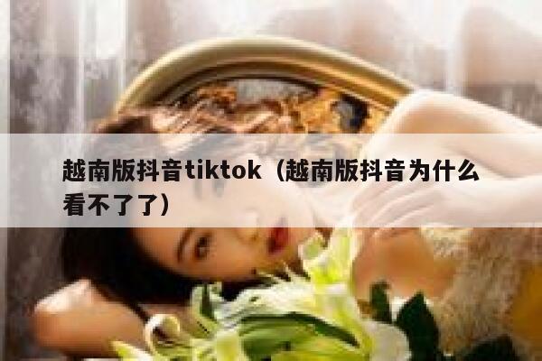 越南版抖音tiktok（越南版抖音为什么看不了了） 第1张