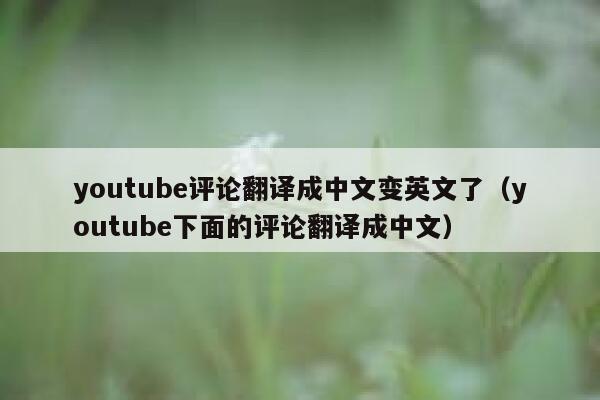 youtube评论翻译成中文变英文了（youtube下面的评论翻译成中文） 第1张