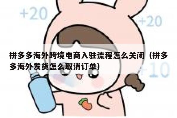 拼多多海外跨境电商入驻流程怎么关闭（拼多多海外发货怎么取消订单） 第1张