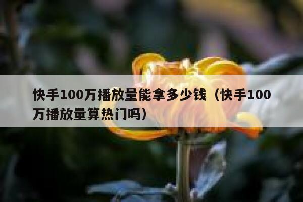 快手100万播放量能拿多少钱（快手100万播放量算热门吗） 第1张