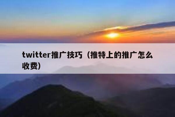 twitter推广技巧（推特上的推广怎么收费） 第1张