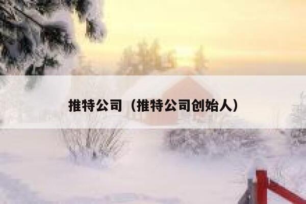 推特公司（推特公司创始人） 第1张