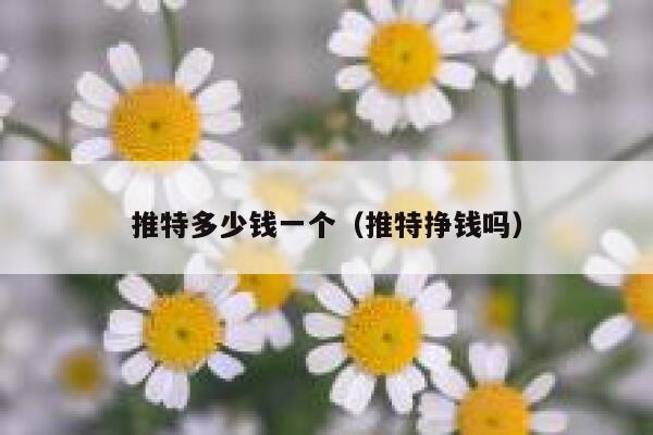 推特多少钱一个（推特挣钱吗） 第1张