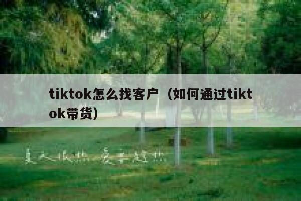 tiktok怎么找客户（如何通过tiktok带货） 第1张