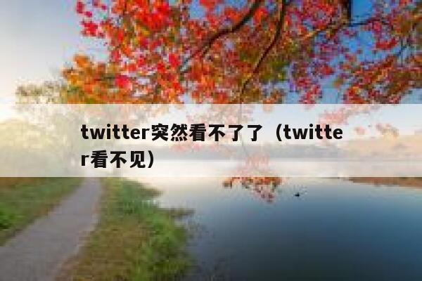 twitter突然看不了了（twitter看不见） 第1张