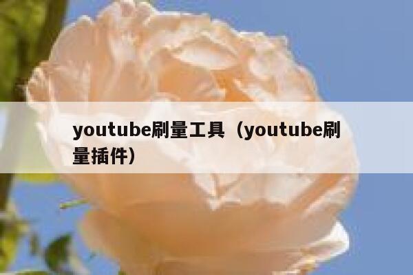 youtube刷量工具（youtube刷量插件） 第1张