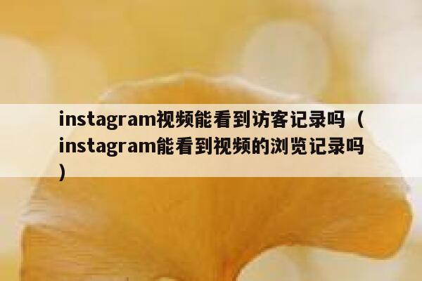 instagram视频能看到访客记录吗（instagram能看到视频的浏览记录吗） 第1张