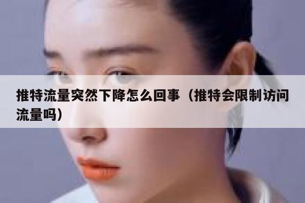 推特流量突然下降怎么回事（推特会限制访问流量吗） 第1张