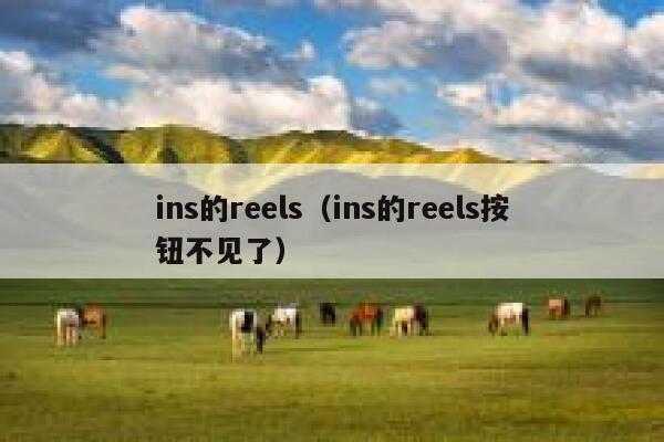 ins的reels（ins的reels按钮不见了） 第1张