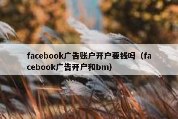 facebook广告账户开户要钱吗（facebook广告开户和bm） 第1张