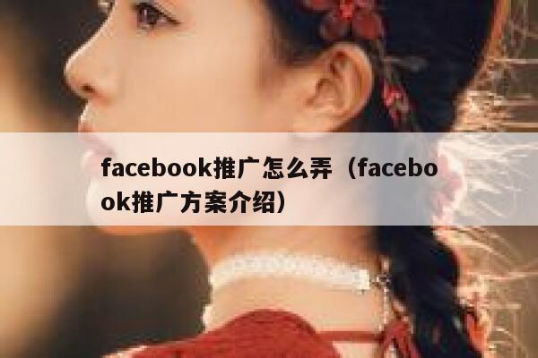 facebook推广怎么弄（facebook推广方案介绍） 第1张