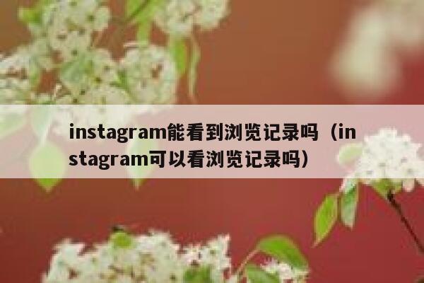 instagram能看到浏览记录吗（instagram可以看浏览记录吗） 第1张