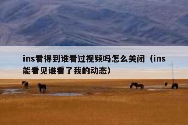 ins看得到谁看过视频吗怎么关闭（ins能看见谁看了我的动态） 第1张