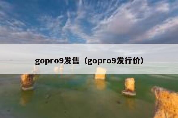 gopro9发售（gopro9发行价） 第1张