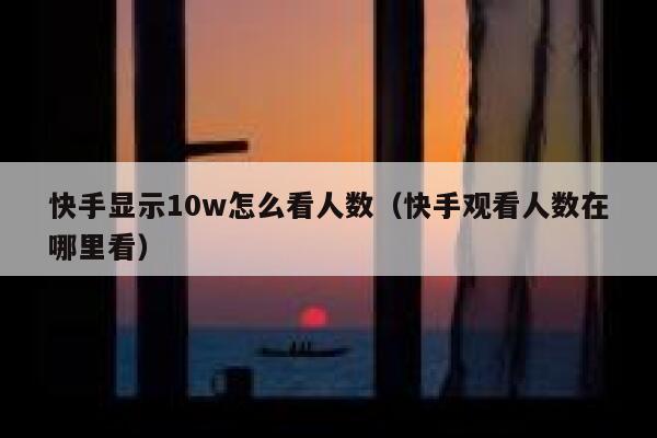 快手显示10w怎么看人数（快手观看人数在哪里看） 第1张