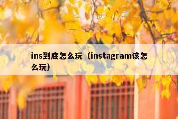 ins到底怎么玩（instagram该怎么玩） 第1张