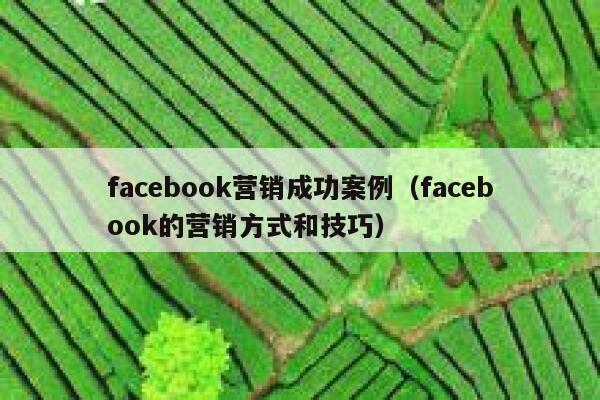 facebook营销成功案例（facebook的营销方式和技巧） 第1张