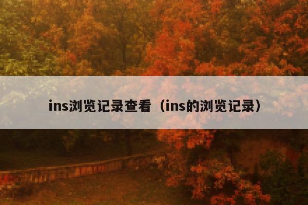 ins浏览记录查看（ins的浏览记录） 第1张