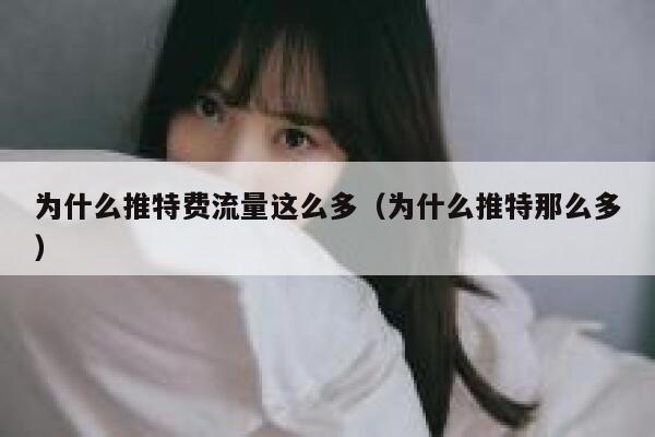 为什么推特费流量这么多(为什么推特那么多) 第1张 为什么推特费流量这么多(为什么推特那么多) 第1张