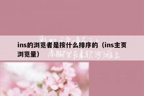 ins的浏览者是按什么排序的（ins主页浏览量） 第1张