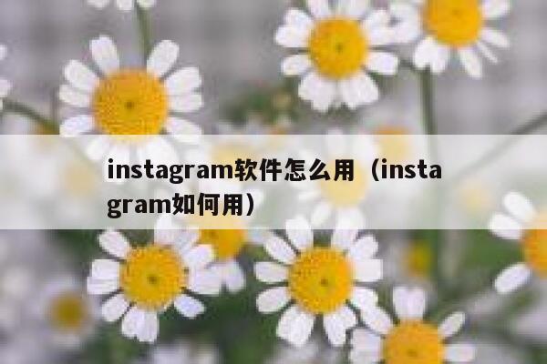 instagram软件怎么用(instagram如何用) 第1张 instagram软件怎么用(instagram如何用) 第1张