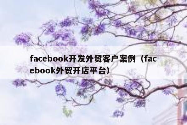 facebook开发外贸客户案例(facebook外贸开店平台) 第1张 facebook开发外贸客户案例(facebook外贸开店平台) 第1张